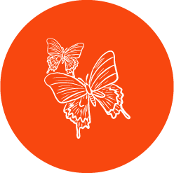 Icono de Solidaridad Consciente dos mariposas