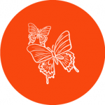 Icono de Solidaridad Consciente dos mariposas
